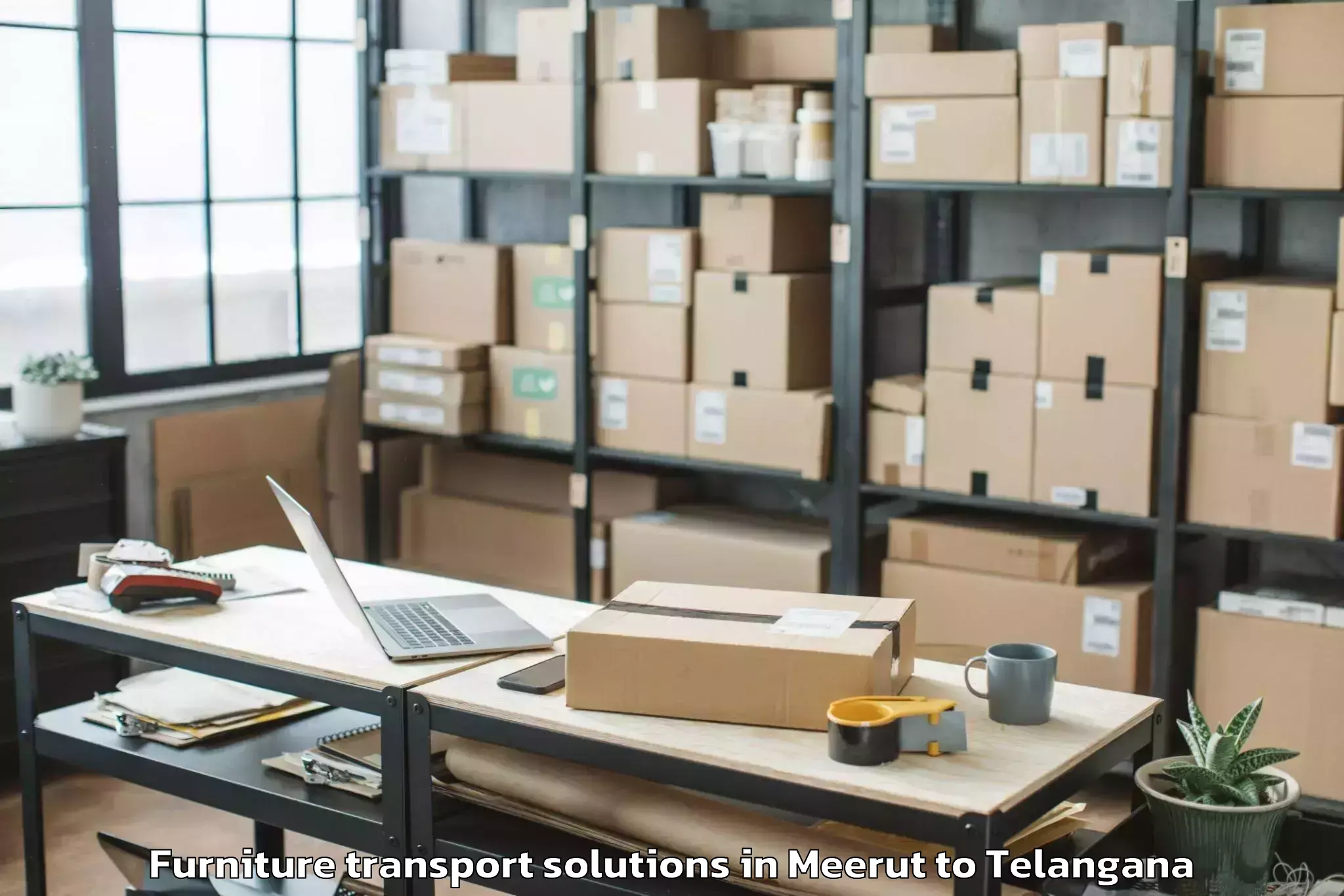 Expert Meerut to Pegadapalle Furniture Transport Solutions